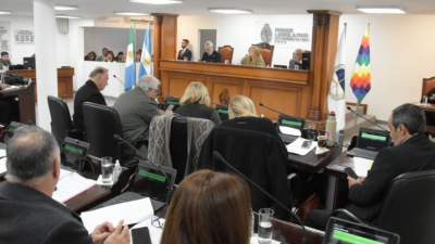 La Legislatura debate el proyecto de ley de reiterancia y despide a Magda Ayala