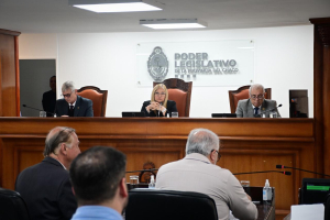 La Legislatura chaqueña aprobó la suspensión de las PASO por un año