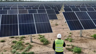 Energía solar: la estrategia que eligen familias