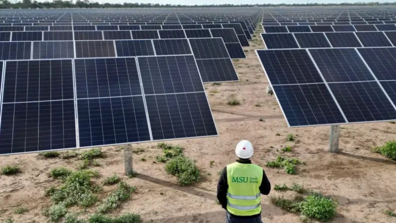 Energía solar: la estrategia que eligen familias