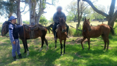 Reconoció su caballo cuando se lo llevaban y destapó una operación por más de un millón de pesos
