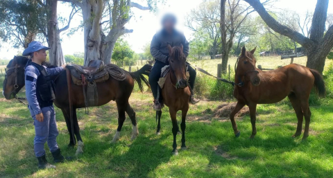 Reconoció su caballo cuando se lo llevaban y destapó una operación por más de un millón de pesos