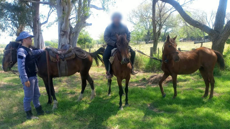 Reconoció su caballo cuando se lo llevaban y destapó una operación por más de un millón de pesos