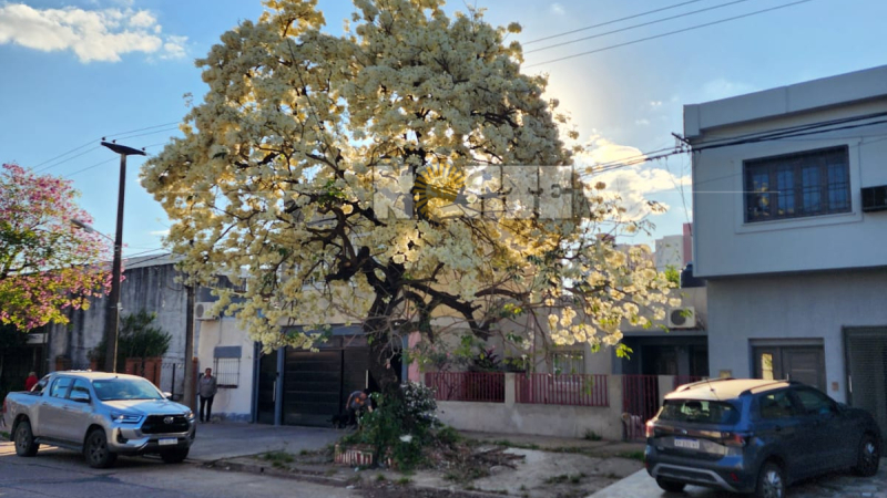 Jueves fresco en la primera mañana y se espera un repunte térmico que llegue hasta los 28°C