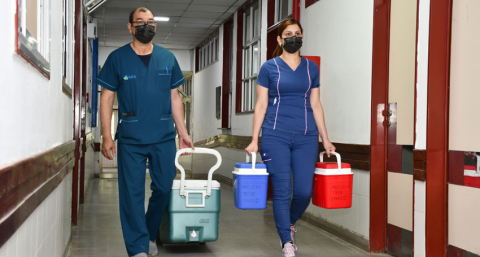 Una joven donante chaqueña permitió beneficiar a tres pacientes de la región