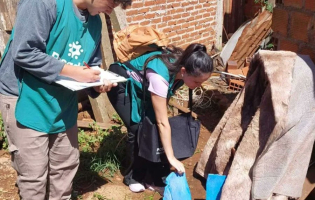 El 7,4% de las viviendas tenía larvas de Aedes aegypti