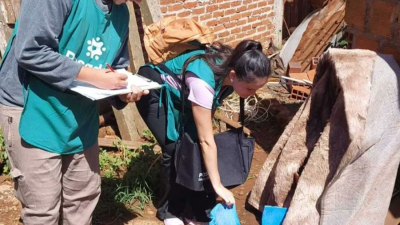 El 7,4% de las viviendas tenía larvas de Aedes aegypti