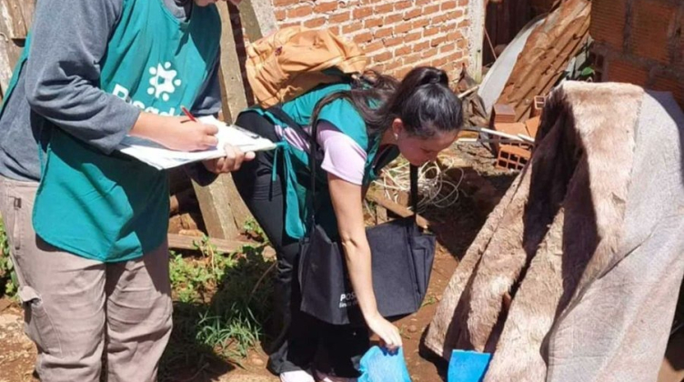 El 7,4% de las viviendas tenía larvas de Aedes aegypti
