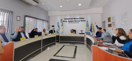 CONCEJO SAENZ PEÑA