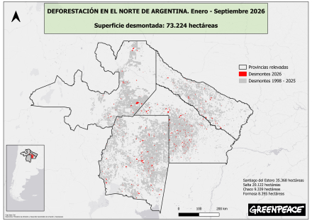 Desmontes_4_provincias_ene_sept_2026