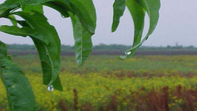 La primera tormenta del 2017 complica la siembra y cosecha