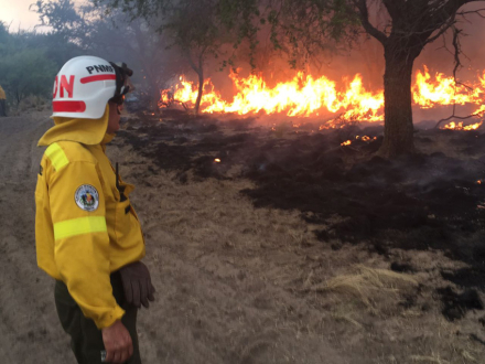 incendio3.jpg