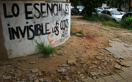 vereda.jpg