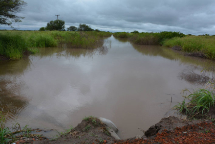 LLUVIA-SANTA-SYLVINA.jpg