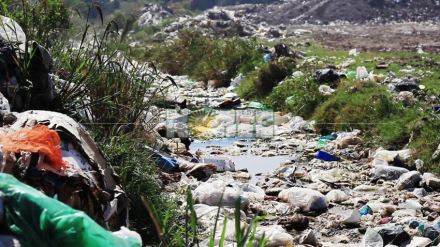 basural3.jpg