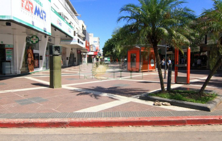 peatonal-feriado.jpg