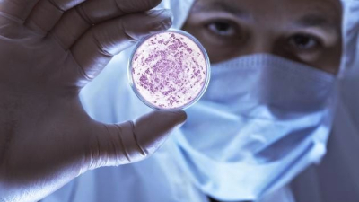Bacterias letales: La OMS publicó una lista de patógenos resistentes a los antibióticos