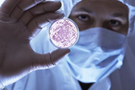 bacterias.jpg