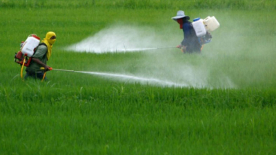 Un tribunal de EEUU denunció a Monsanto por manipular estudios sobre el Glifosato