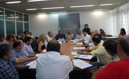 diputados comerciantes.JPG