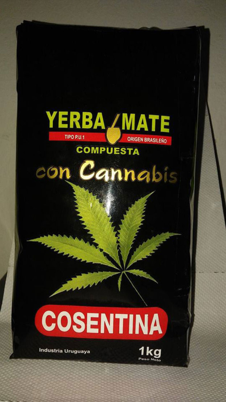yerba_3.jpg