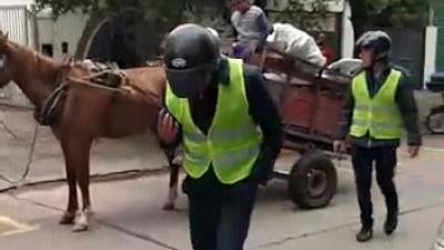 Cuando falta legislación, los vecinos actúan: frenaron un carro y retuvieron al caballo