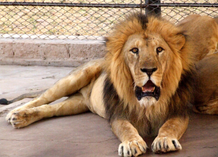 leon zoo.jpg