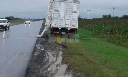 camion3.jpg