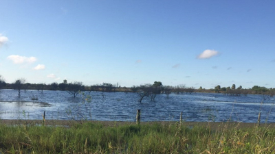 Productores del Este provincial preocupados por los campos anegados