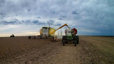 El pronóstico de lluvia complica la cosecha de algodón y soja en el Chaco