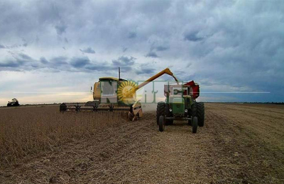 El pronóstico de lluvia complica la cosecha de algodón y soja en el Chaco