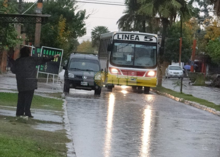colectivo.jpg