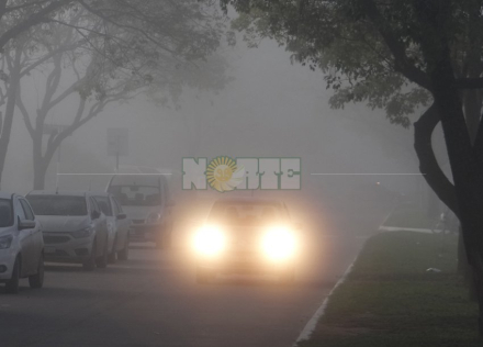 niebla2.jpg