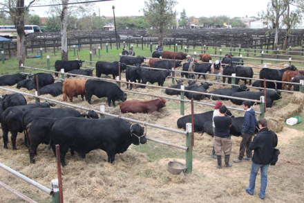 SOCIEDAD-RURAL16.jpg