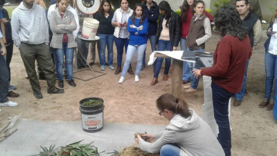 El uso de la mandioca en la alimentación animal