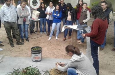 El uso de la mandioca en la alimentación animal