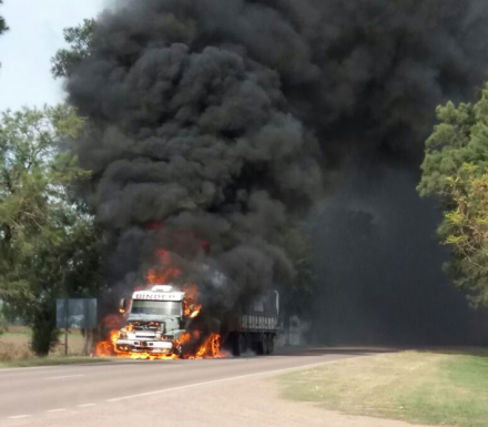 camion.jpg