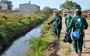 Equipo Habitat.jpg