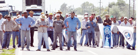 Productores.jpg