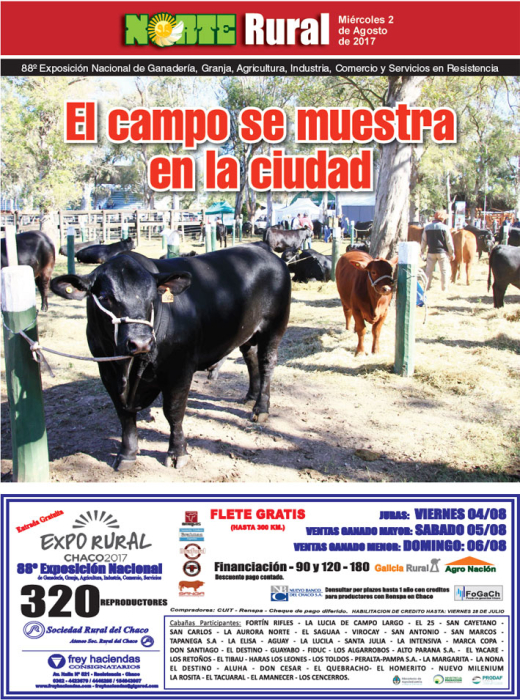 El campo se muestra en la ciudad