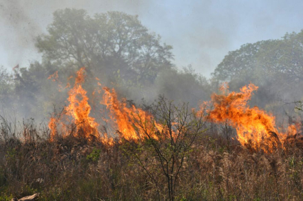 INCENDIO2.jpg