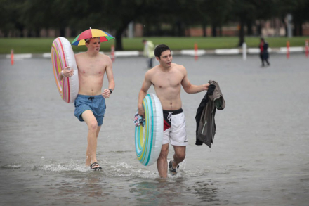 harvey.jpg