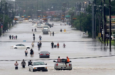 harvey.jpg