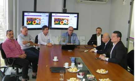 bolsa03.jpg