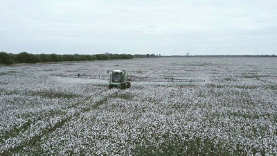 Los productores chaqueños quieren llegar a las góndolas del mundo