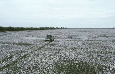 Los productores chaqueños quieren llegar a las góndolas del mundo
