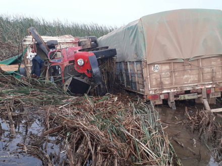 camion-con-maiz-(2)-(1).jpg