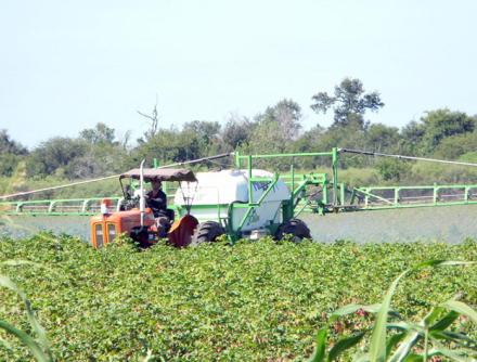 TAREAS-DE-FUMIGACION.jpg