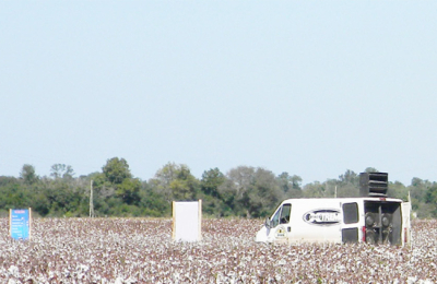 Brasil, modelo de producción que orienta a nuestro algodón