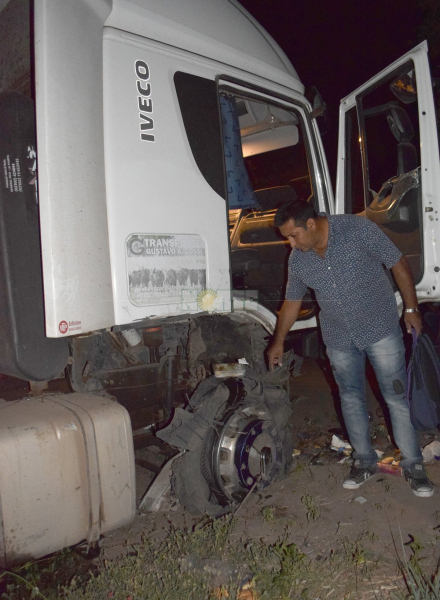 tumbo camion con vacas.JPG